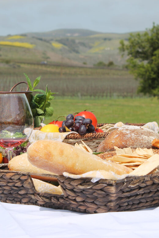 Santa Barbara: E-bike wine tour w/ transport, tasting, lunch - An In-Depth Look at the Santa Barbara E-bike Wine Tour