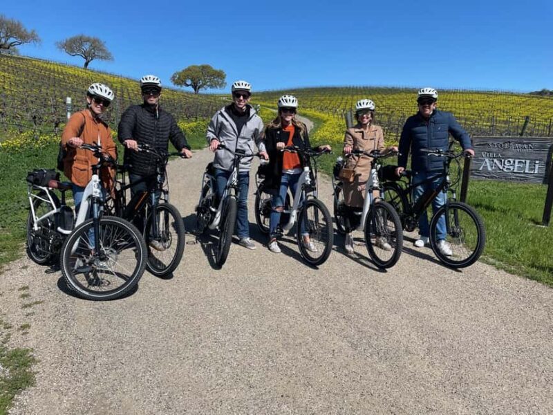 Santa Barbara: E-bike wine tour w/ transport, tasting, lunch - Who Will Love This Tour?