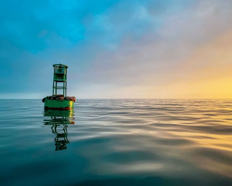 Santa Barbara Harbor: Sunset Kayak Tour (2 Hours) - Why This Tour Offers Great Value