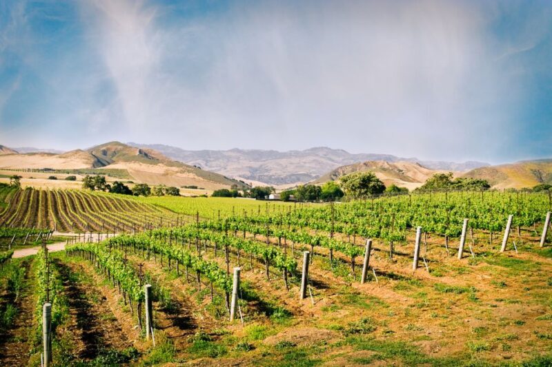 Santa Barbara: Wine Country Tour with Lunch - Itinerary Breakdown: What to Expect