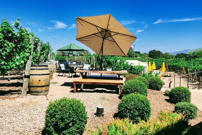 Santa Barbara Wine Tasting Day Tour from Los Angeles - What Travelers Say