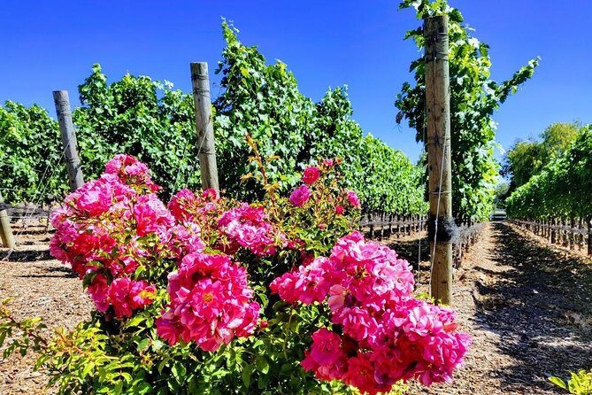Santa Barbara Wine Tasting Day Tour from Los Angeles - Who Is This Tour Best For?