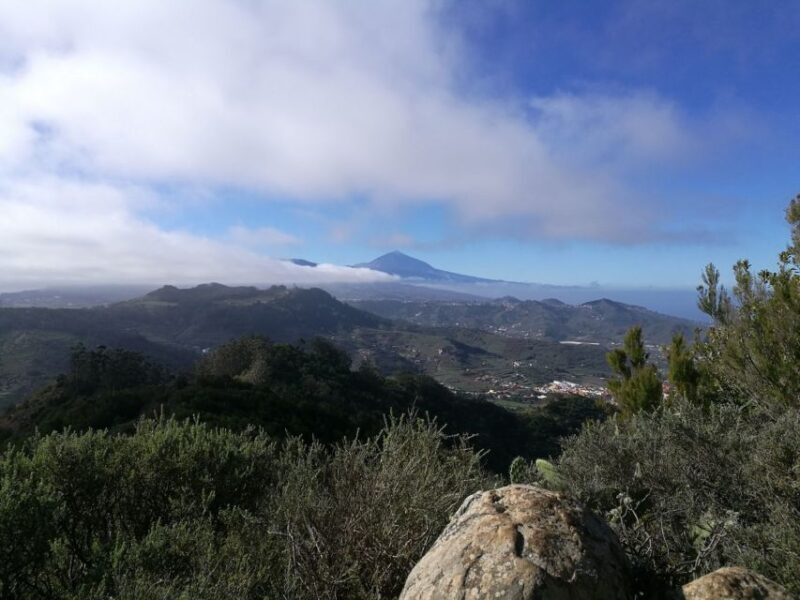 Santa Cruz de Tenerife: 2-Hour Hiking Tour in Anaga Forest - Santa Cruz de Tenerife: 2-Hour Hiking Tour in Anaga Forest