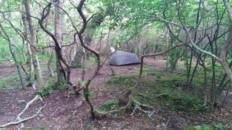 Santa Cruz de Tenerife: 2-Hour Hiking Tour in Anaga Forest - FAQ