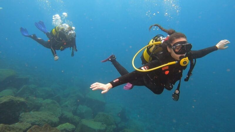 Santa Cruz de Tenerife: Advanced introductory course - An Up-Close Look at the Santa Cruz de Tenerife Advanced Intro Course