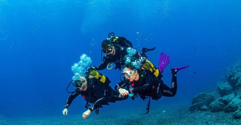 Santa Cruz de Tenerife: Advanced introductory course - Authentic Experiences from Participants