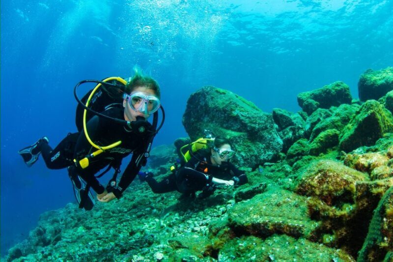 Santa Cruz de Tenerife: Beginner's Diving & Introduction - Key Points