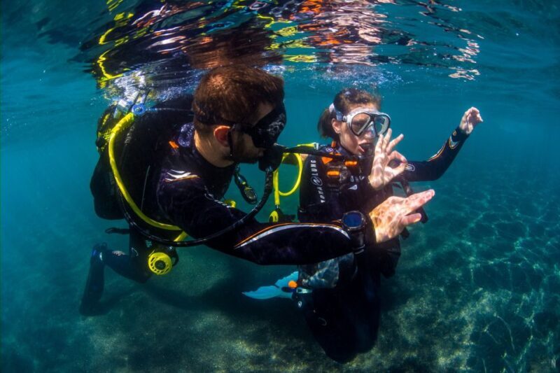 Santa Cruz de Tenerife: Beginner's Diving & Introduction - A Closer Look at the Experience