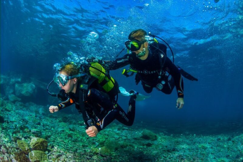 Santa Cruz de Tenerife: Beginner's Diving & Introduction - Frequently Asked Questions