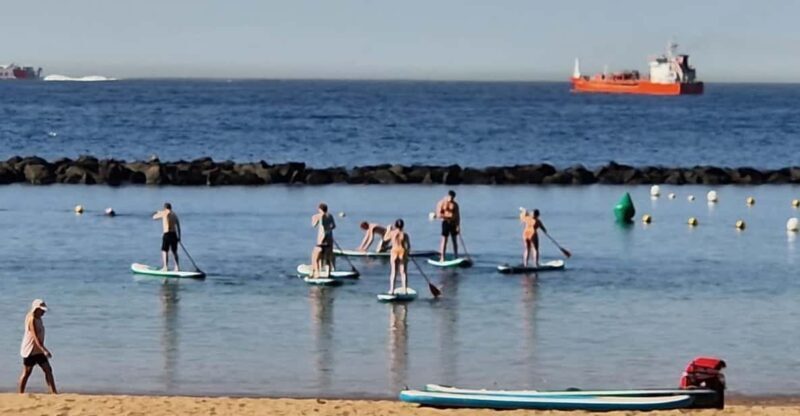 Santa Cruz de Tenerife: Las Teresitas Stand Up Paddle Course - Exploring the Las Teresitas Stand Up Paddle Course