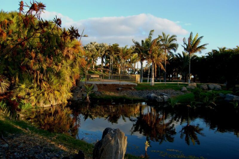 Santa Cruz de Tenerife Palmetum Entry Ticket - Key Points