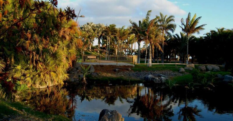 Santa Cruz de Tenerife Palmetum Entry Ticket - A Deep Dive into the Palmetum Experience