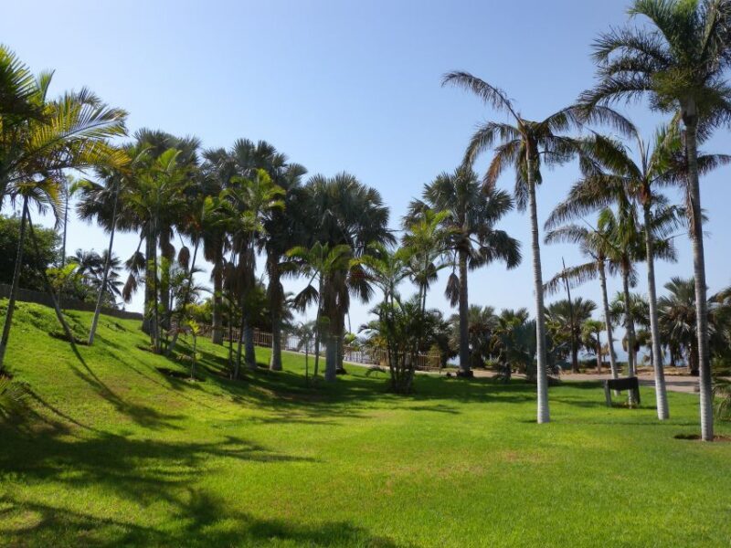 Santa Cruz de Tenerife Palmetum Entry Ticket - The Value for Money