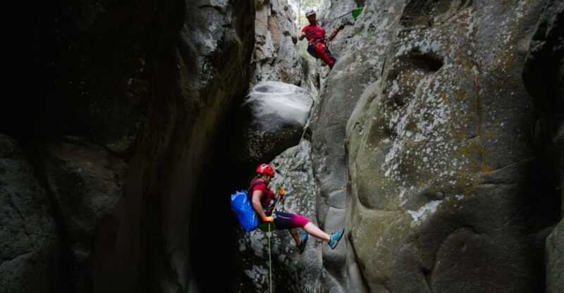 Santa Cruz de Tenerife: Vilaflor Canyoning Tour - What to Expect from the Vilaflor Canyoning Experience