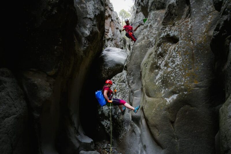 Santa Cruz de Tenerife: Vilaflor Canyoning Tour - Who Will Love This Tour?