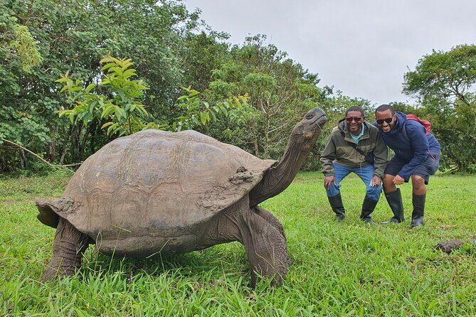 Santa Cruz Highland Tour: Giant Tortoises, Lava Tunnel & Gemelos - Key Points