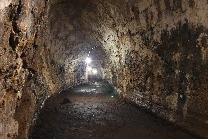 Santa Cruz Highland Tour: Giant Tortoises, Lava Tunnel & Gemelos - Practical Details and Tips