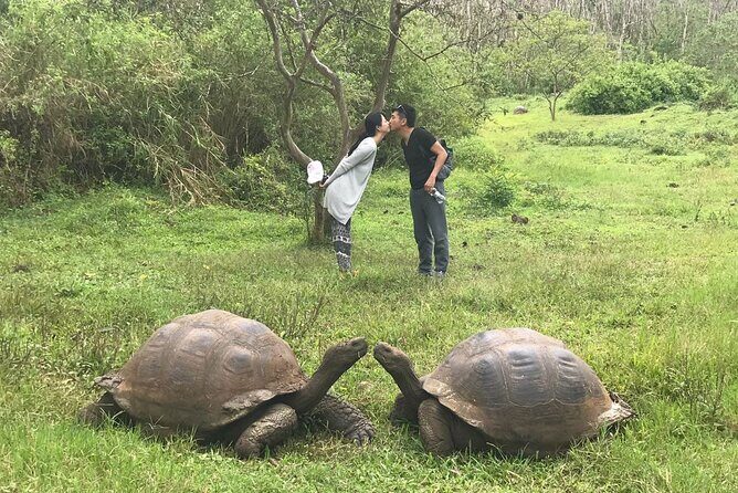 Santa Cruz Highland Tour: Giant Tortoises, Lava Tunnel & Gemelos - FAQ