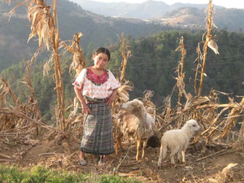 Santa Cruz La Laguna: 6-Hour Solola Hike & Market Visit - Key Points