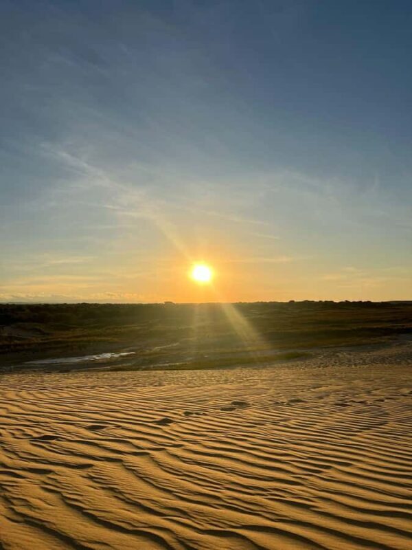 Santa Cruz: Lomas de Arena Sandboard - Experience Providers and Customer Feedback