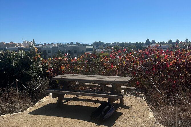 Santa Cruz Walking Tour: Discover Downtown & Mission Hill - FAQs