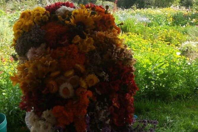 Santa Elena trip: Silleteros and Flower Farm Cultural Tour - Who Will Love This Tour?