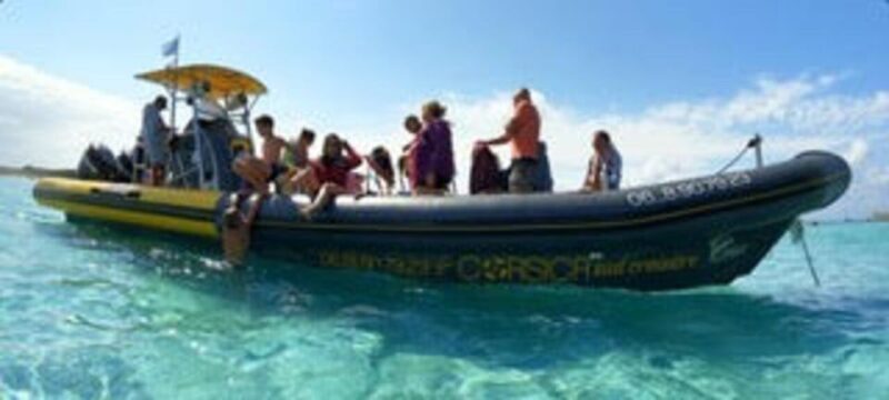 Santa Giulia : Sunset Cruise & Apéritif - Who Would Enjoy This Tour?