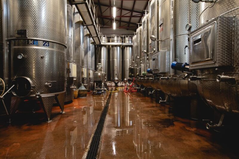 Santa Maria della Versa: Grape Harvest & Wine Tasting Tour - Setting the Scene: Where and What