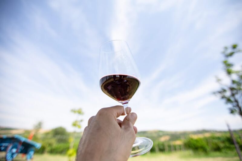 Santa Maria della Versa: Grape Harvest & Wine Tasting Tour - The Harvest Experience: More Than Just Picking Grapes