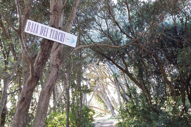 Santa Maria di Leuca by the coast From/To Lecce Otranto Gallipoli - Deep Dive into the Itinerary
