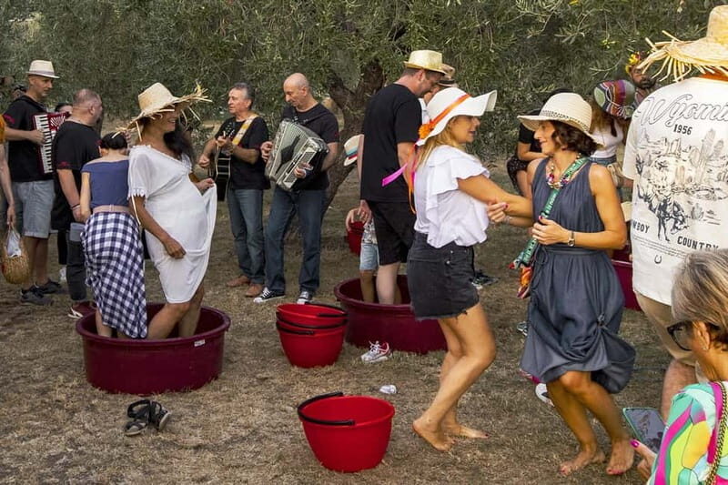 Santa Maria Imbaro: Grape Harvest with Pressing + Picnic among olive trees and vineyards - Final Thoughts