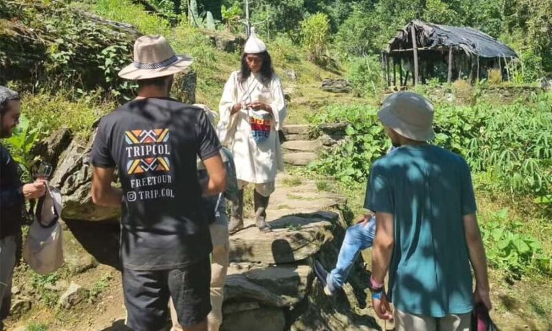 Santa Marta A Historical & Street food Experience - Culinary Delights and Tasting Experiences