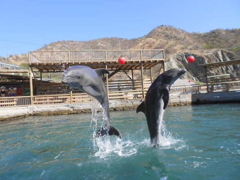 Santa Marta: Museum of the Sea and Playa Blanca Beach Tour - Key Points