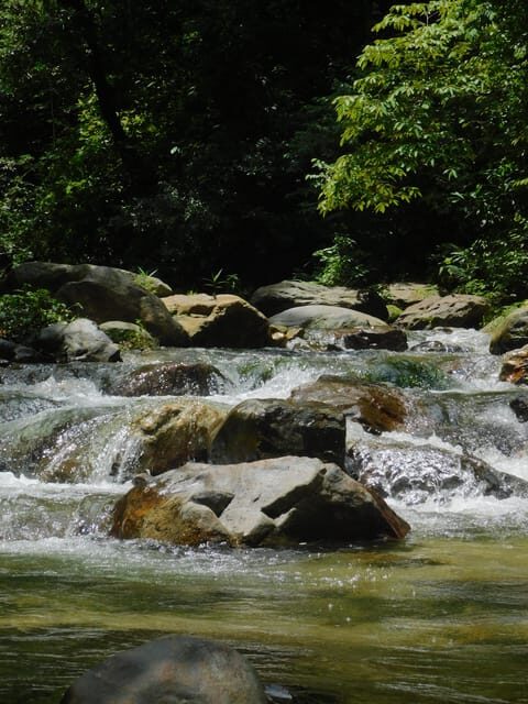 Santa Marta: San Isidro de La Sierra Waterfall Day Tour - Key Points