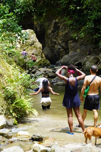 Santa Marta: San Isidro de La Sierra Waterfall Day Tour - A Deep Dive into the Day Trip