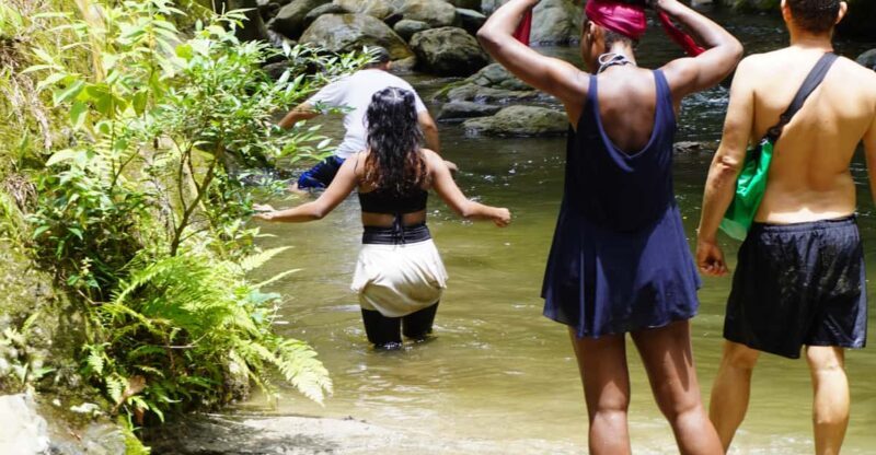 Santa Marta: San Isidro de La Sierra Waterfall Day Tour - Why Choose This Tour?