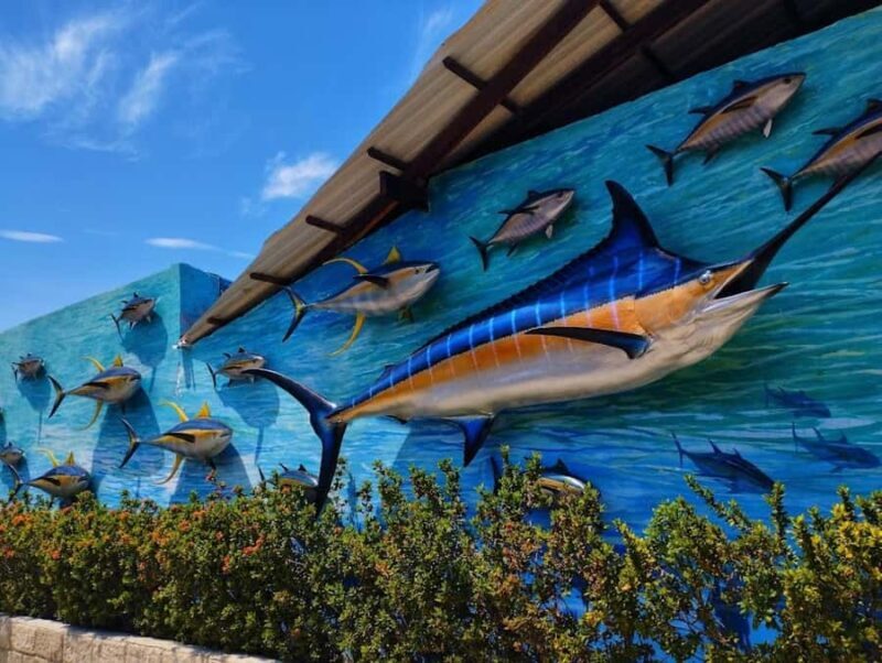 SANTA MARTA: Tour with Entrance to the Aquarium and Transfer to Playa Blanca! - Santa Marta: Tour with Entrance to the Aquarium and Transfer to Playa Blanca!