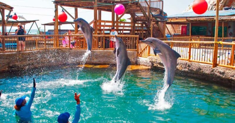 SANTA MARTA: Tour with Entrance to the Aquarium and Transfer to Playa Blanca! - Key Points