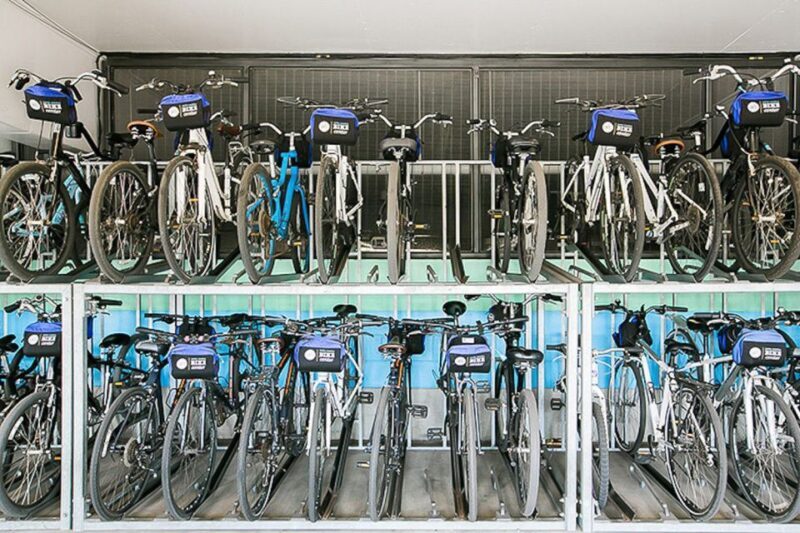 Santa Monica: Full Day Bike Rental - Authentic Experiences & Other Tips