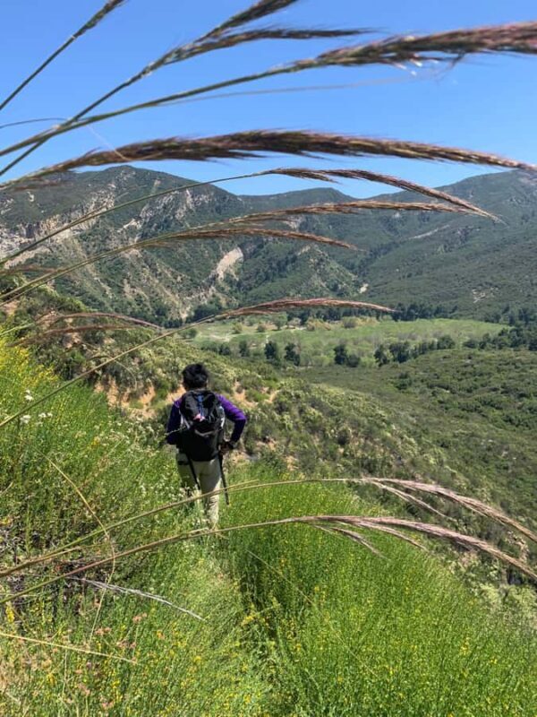 Santa Monica Mountains: Guided Hike Above Pacific Ocean - The Details of the Santa Monica Mountains Guided Hike