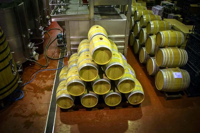 Santa Pola, Gran Alacan, Urbanova: Guided Wine Tasting Tour - Potential Drawbacks and Considerations