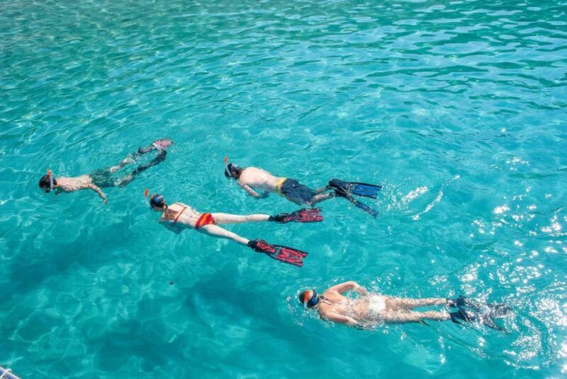 Santa Ponsa: Snorkeling Tour in a Marine Reserve - Who This Tour Is Best For