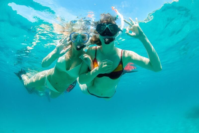 Santa Ponsa: Snorkeling Tour in a Marine Reserve - FAQ