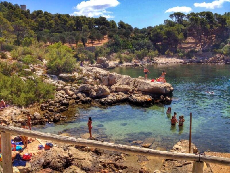 Santa Ponta/Peguera: Dragonera Island Cruise with Swim Stop - The Experience Through the Lens of Real Travelers