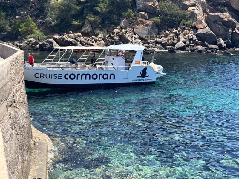 Santa Ponta/Peguera: Dragonera Island Cruise with Swim Stop - Who Should Consider This Tour?