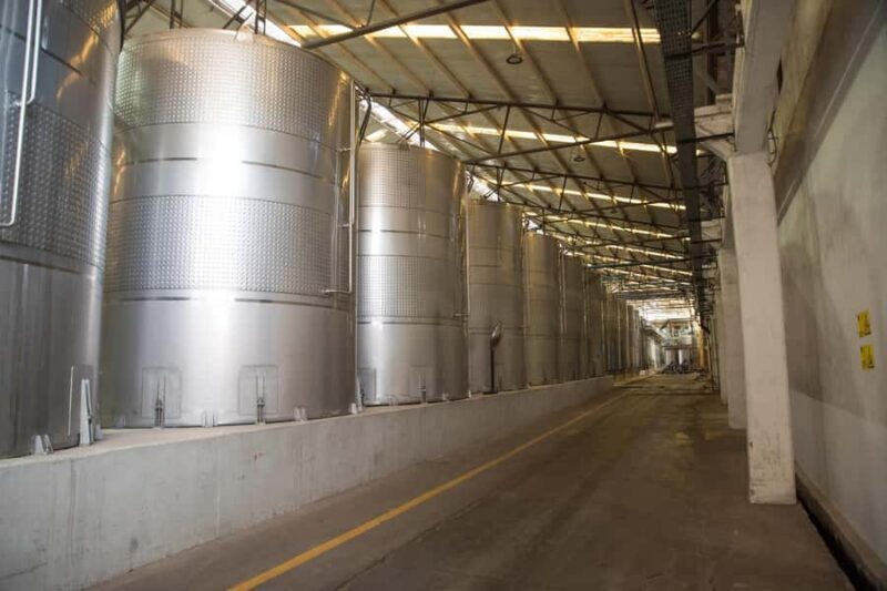 Santa Rita: Tour + Premium Wine Tasting + Private Transport - The Sum Up