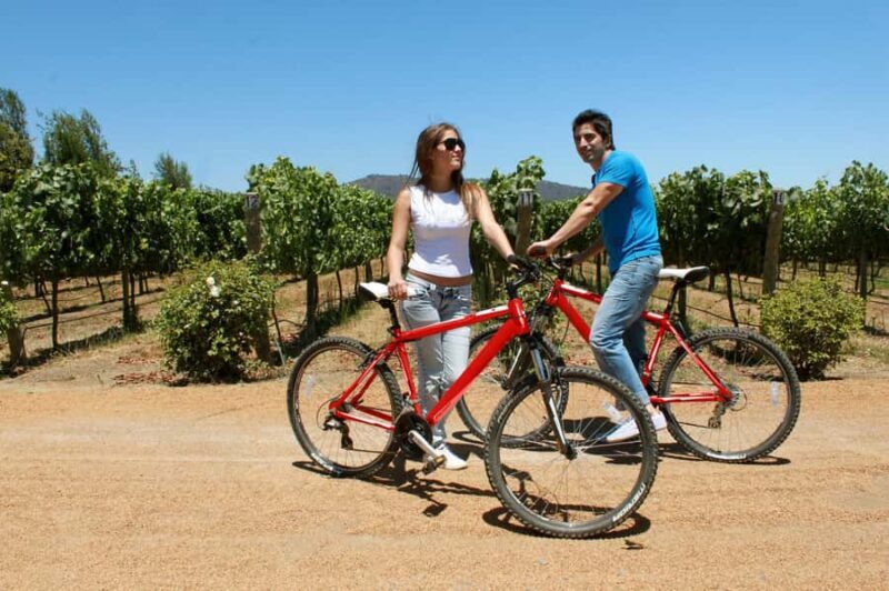 Santa Rita Vineyard Tour: History, Wine, and Outdoor Picnic - Frequently Asked Questions