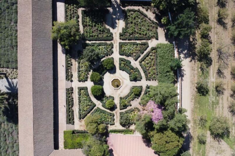 Santa Rita Vineyard Tour with Lunch, an Unforgettable Day! - Santa Rita Vineyard Tour with Lunch: An Authentic Taste of Chile’s Wine Heritage