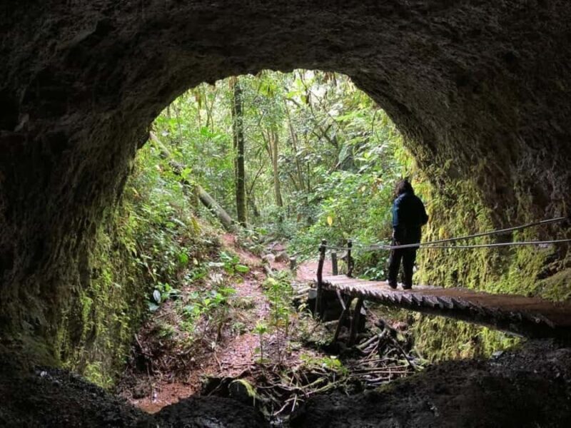 Santa Rita Waterfall and Salento Private Tour - A Deep Dive into the Santa Rita Waterfall and Salento Private Tour