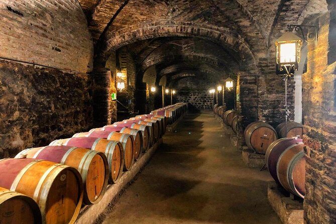 Santa Rita Winery Selection Tour - Final Thoughts